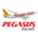 Pegasus Airlines